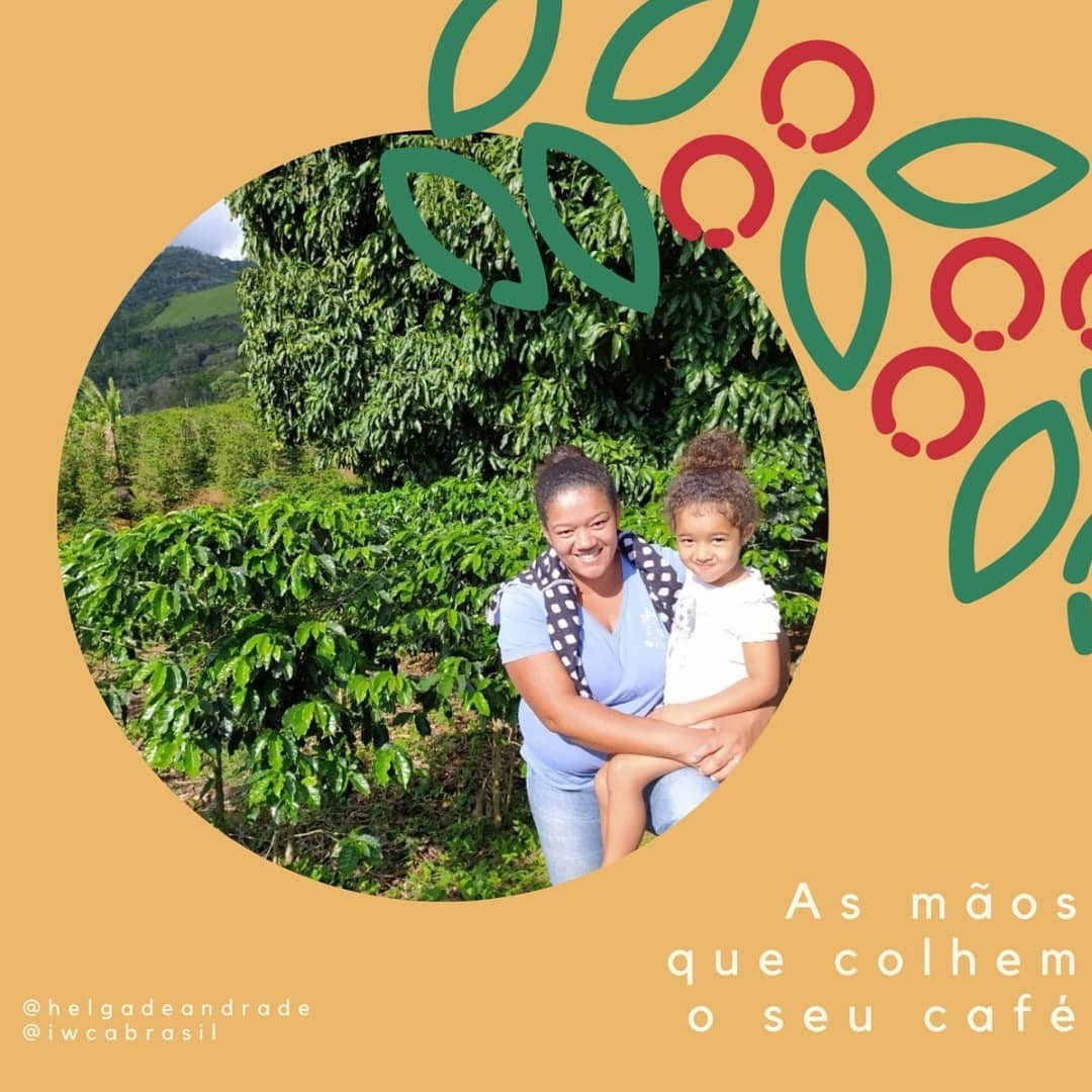 .:: as_maos_que_colhem_o_seu_cafe_45355_1_pt.jpg ::.